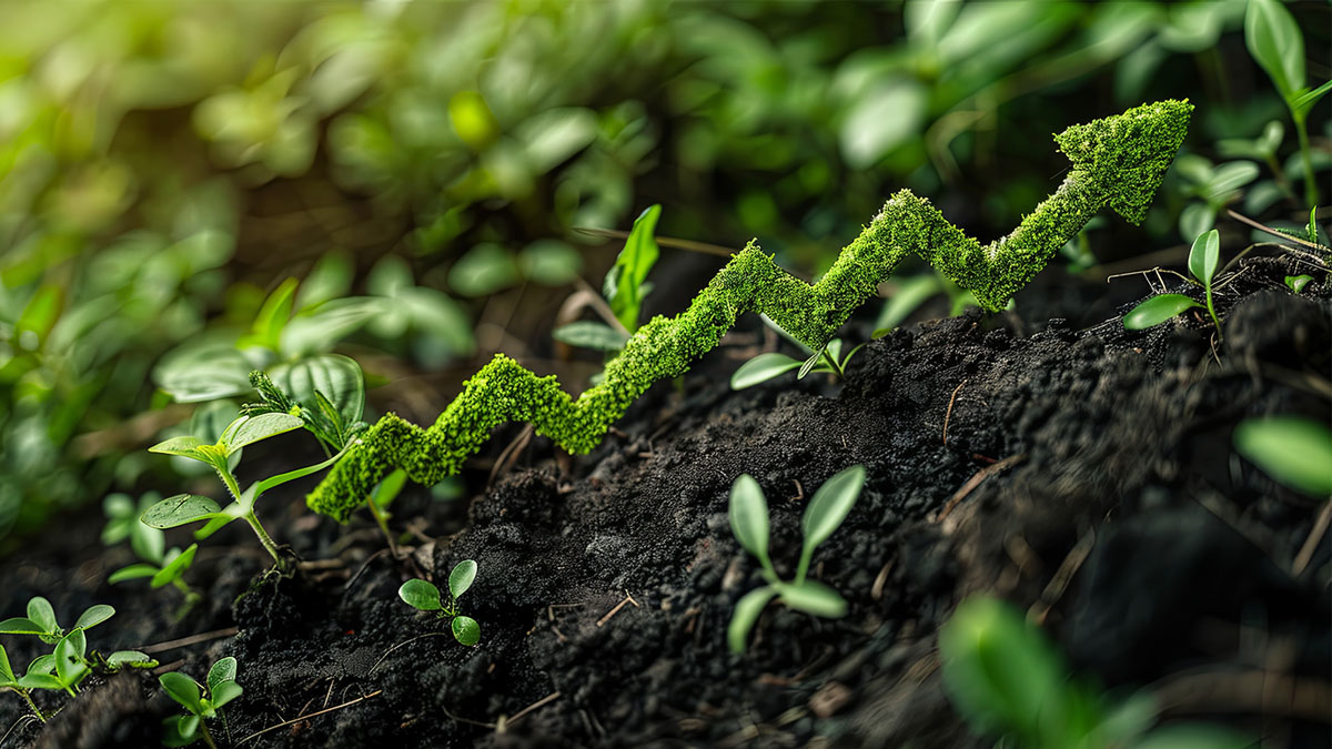 Enerjideki dönüşüm küresel ölçekte istihdam alanı yaratıyor