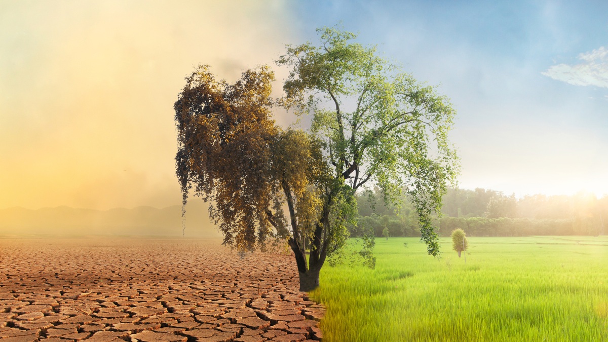 Küresel ısınmanın ilk felaket eşiği aşıldı